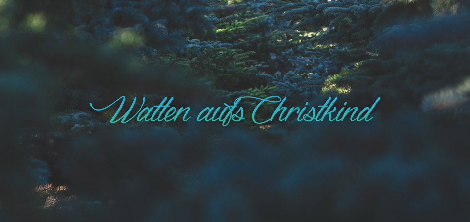 WSC Watten aufs Christkind 2015
